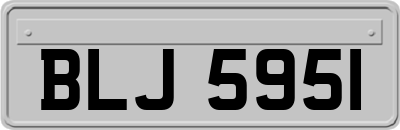 BLJ5951