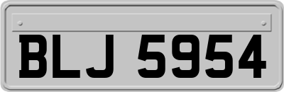 BLJ5954