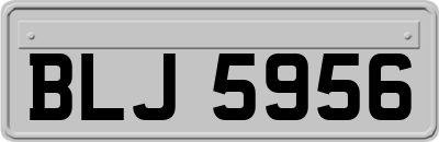 BLJ5956