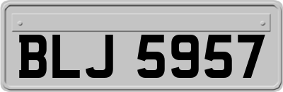 BLJ5957