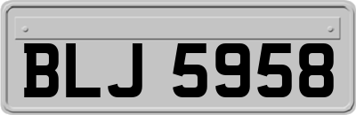 BLJ5958