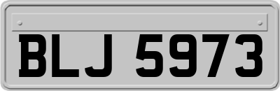 BLJ5973