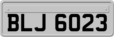 BLJ6023