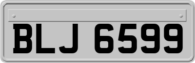 BLJ6599