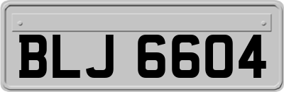 BLJ6604