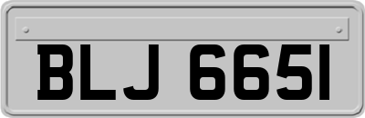 BLJ6651