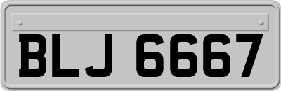 BLJ6667