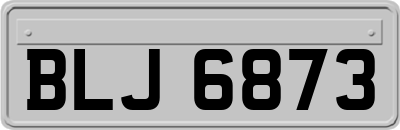 BLJ6873