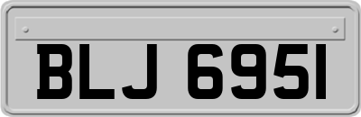 BLJ6951