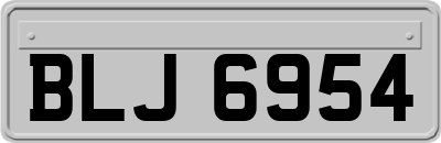 BLJ6954