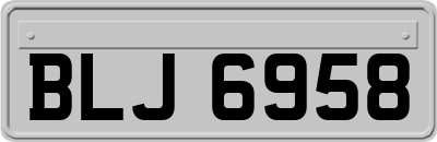 BLJ6958