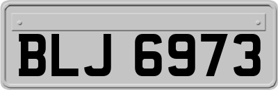 BLJ6973