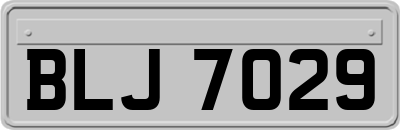 BLJ7029