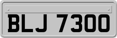 BLJ7300
