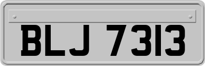 BLJ7313