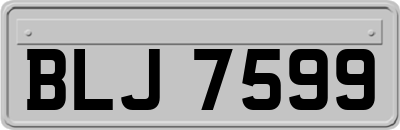 BLJ7599