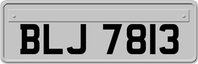 BLJ7813