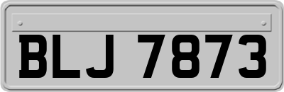 BLJ7873