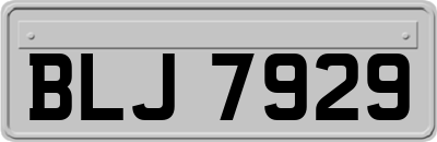 BLJ7929