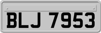 BLJ7953