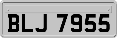 BLJ7955