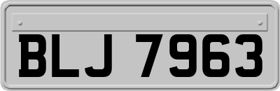 BLJ7963