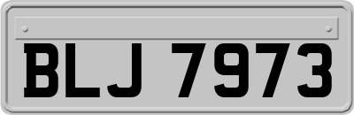 BLJ7973