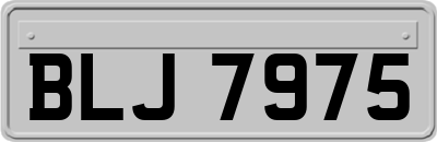 BLJ7975