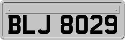 BLJ8029