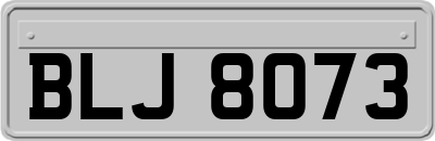 BLJ8073