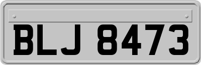 BLJ8473