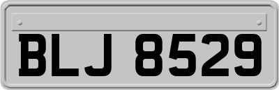 BLJ8529