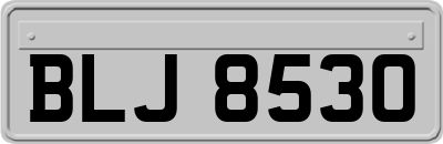 BLJ8530