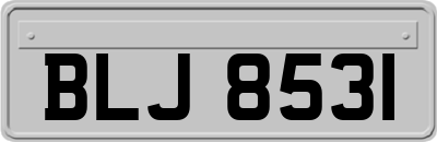 BLJ8531