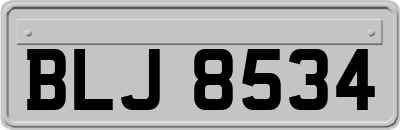 BLJ8534