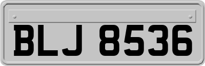BLJ8536