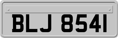 BLJ8541