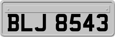 BLJ8543