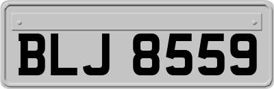 BLJ8559