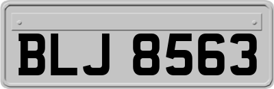 BLJ8563