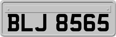 BLJ8565