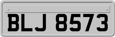 BLJ8573