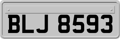 BLJ8593