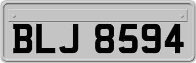 BLJ8594