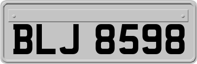 BLJ8598