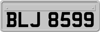 BLJ8599