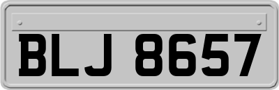 BLJ8657