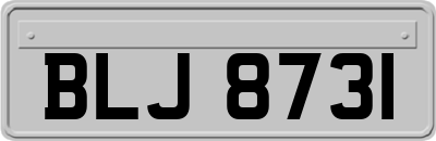 BLJ8731