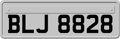 BLJ8828