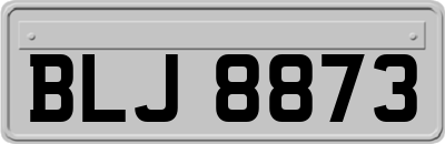 BLJ8873